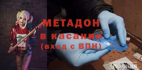 прущие грибы Медвежьегорск