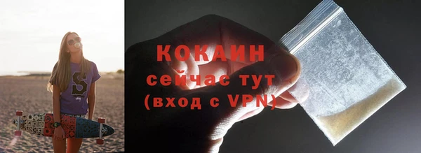 прущие грибы Медвежьегорск