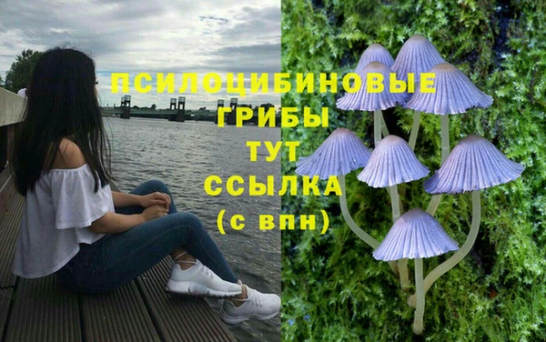 а пвп мука Мегион