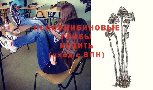 прущие крисы Михайловск