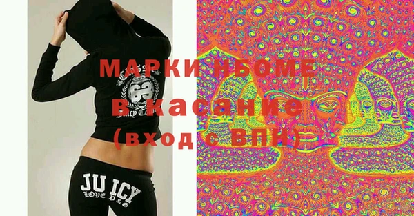 прущие грибы Медвежьегорск