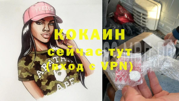 прущие грибы Медвежьегорск