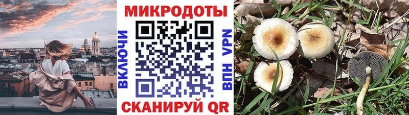 купить наркоту  Октябрьский  Псилоцибиновые грибы ЛСД 