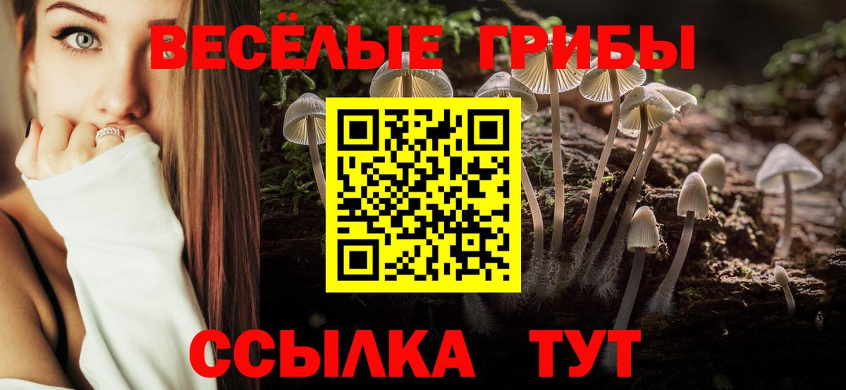 как найти закладки  Вход с VPN  Галлюциногенные грибы MAGIC MUSHROOMS  Октябрьский  Псилоцибиновые грибы Magic Shrooms 