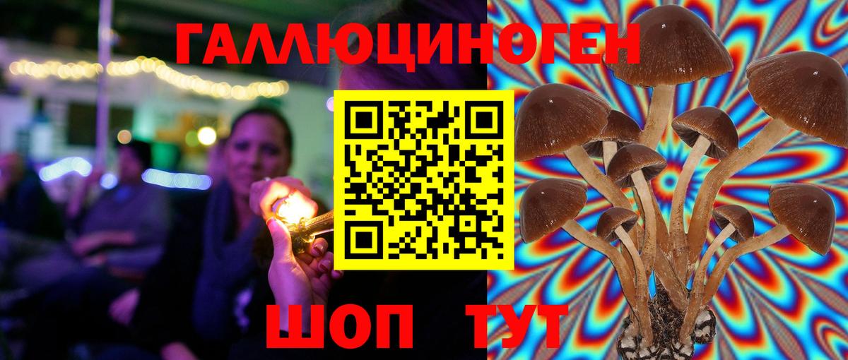 Галлюциногенные грибы GOLDEN TEACHER Октябрьский